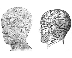 phrenology-head (by DoubleM2 on Flickr)